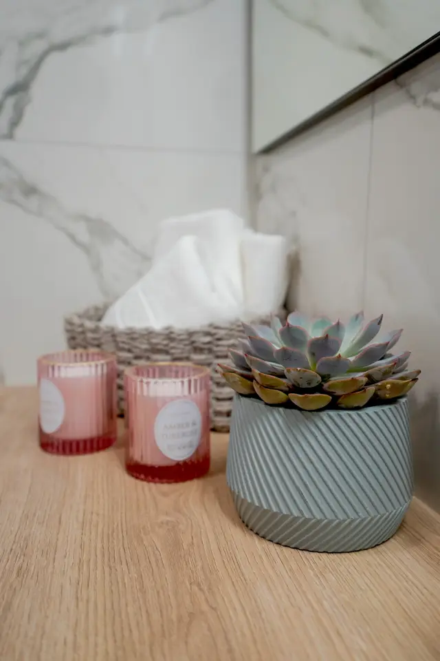 Succulent and scented candles on the bathroom vanity